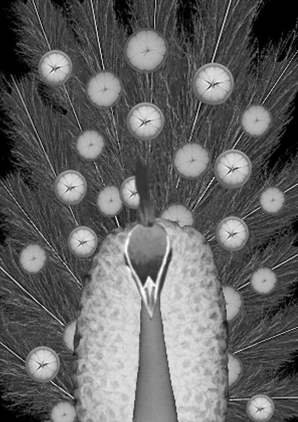 건양대 방사선학과, 학생 캡스톤디자인 성과 전시회